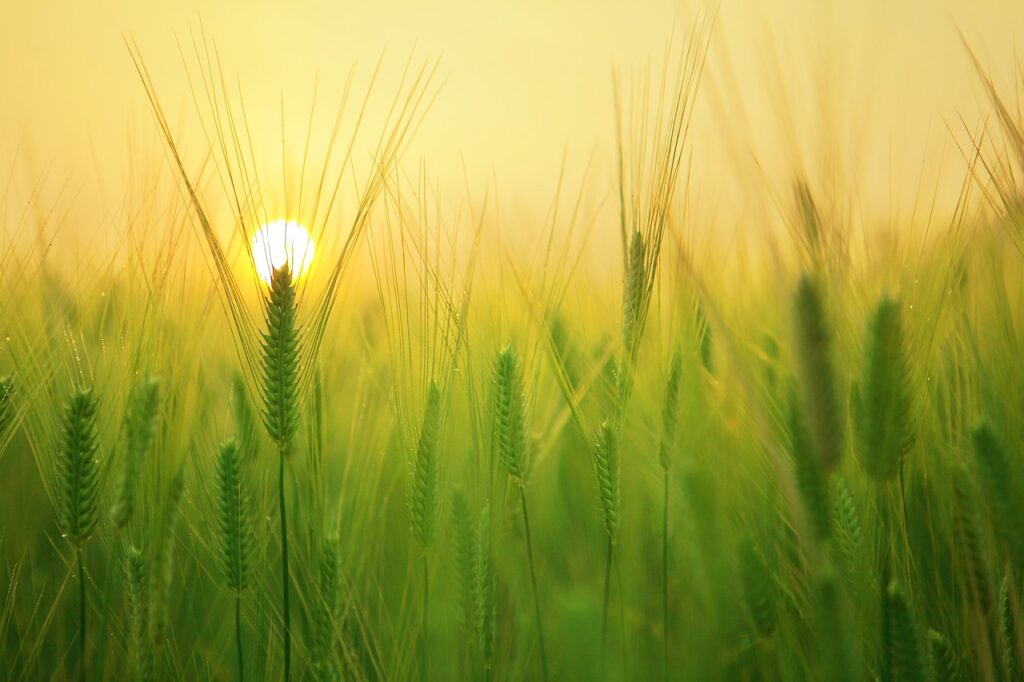 Harvest the Power Leadership Development Class