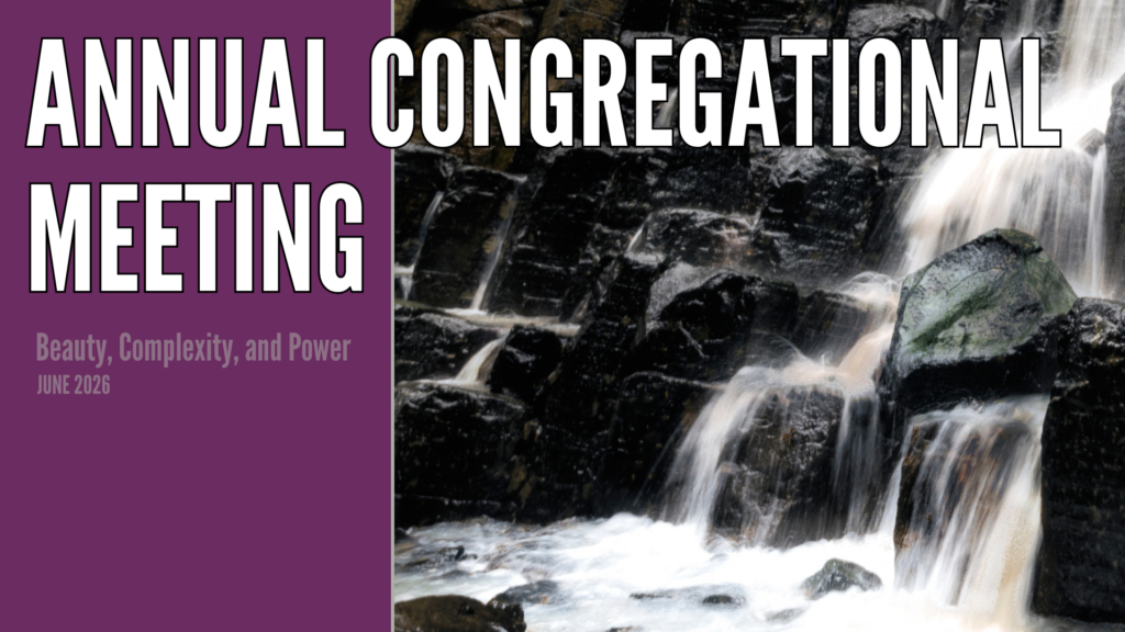 Annual Congregational Meeting (06/14)